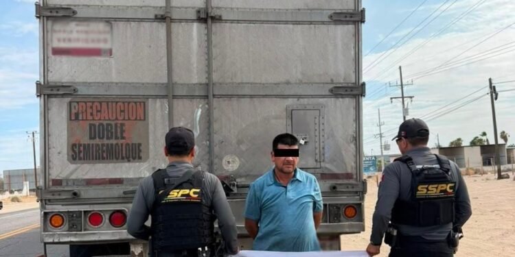 Golpe histórico al narcotráfico: aseguran más de tres toneladas de metanfetamina en Sonora