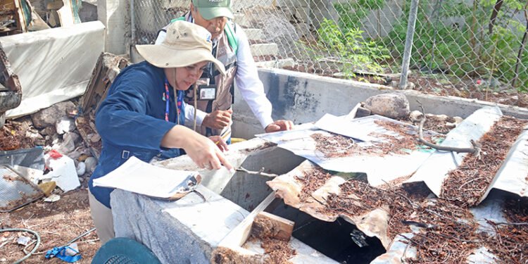 Refuerza Salud acciones de vigilancia y control del dengue en Baja California Sur