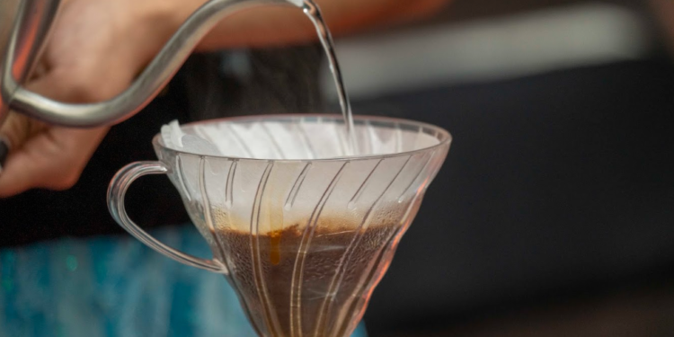Convención del Café Oaxaqueño buscará conectar a productores con mercados internacionales