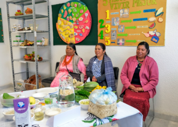 IMSS supera 1.2 millones de consultas para mujeres indígenas con enfoque de pertinencia cultural